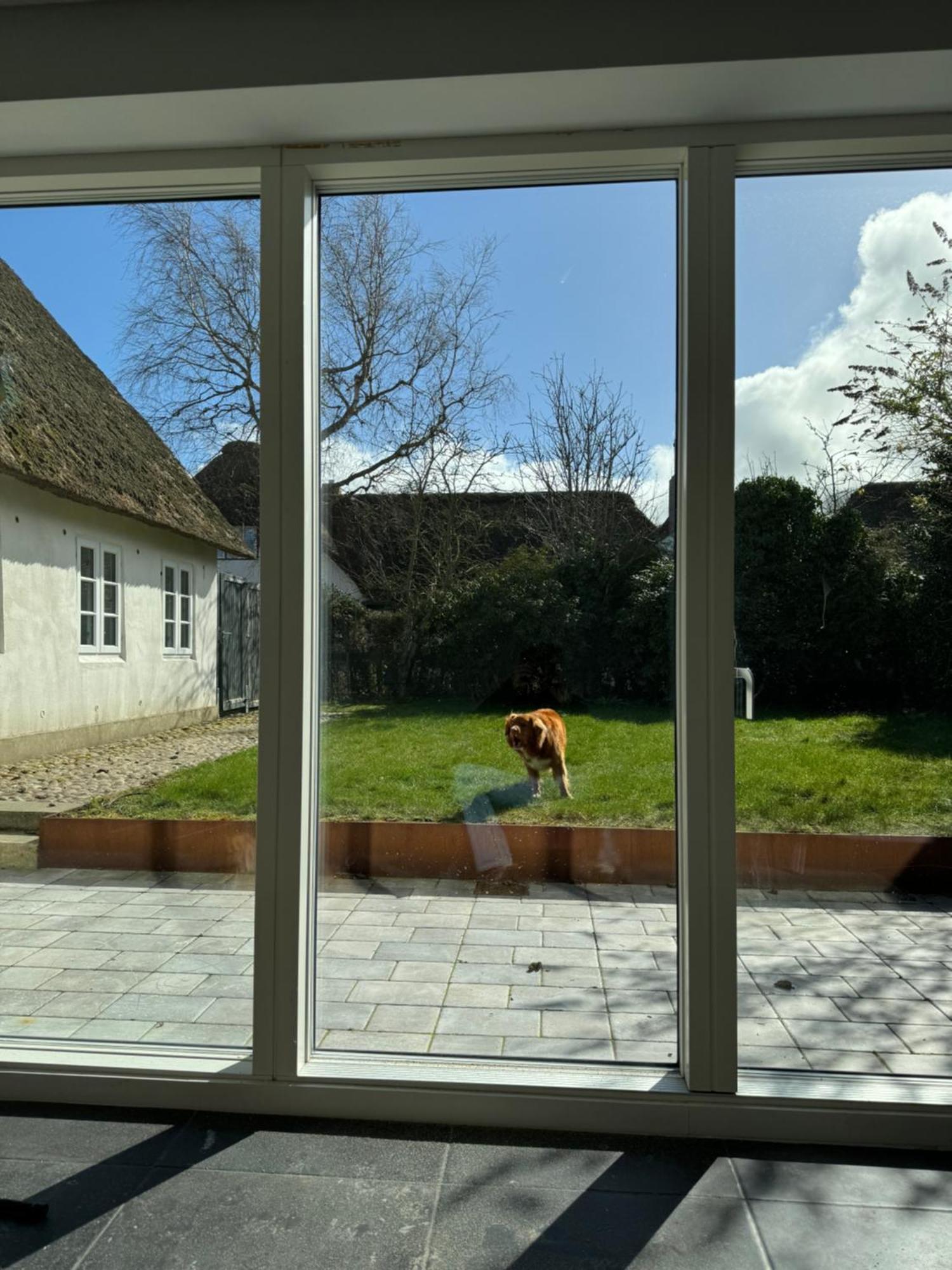 Kapitaenshaus Von 1712 - Neu Saniert Nieblum Exterior foto
