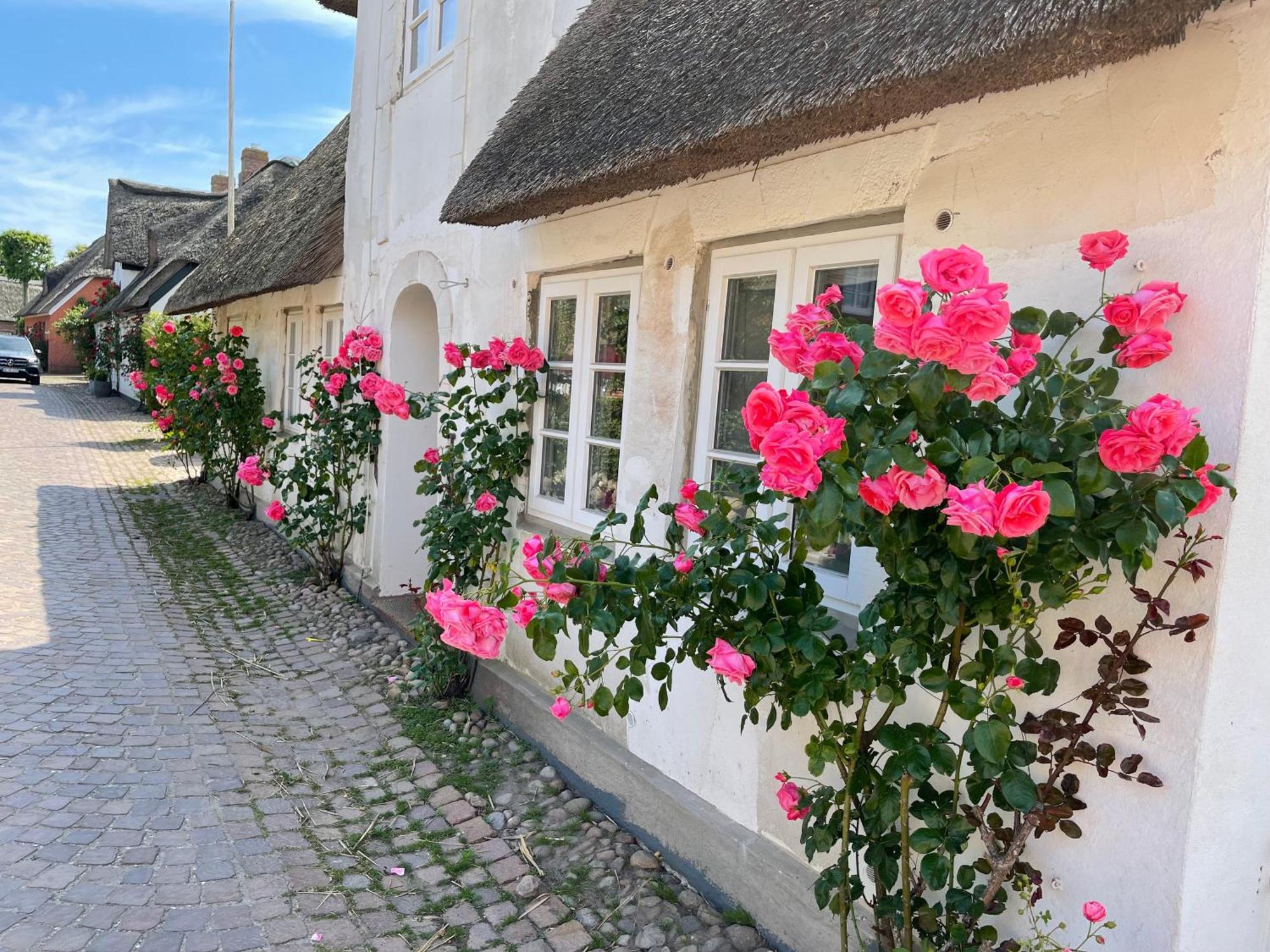 Kapitaenshaus Von 1712 - Neu Saniert Nieblum Exterior foto